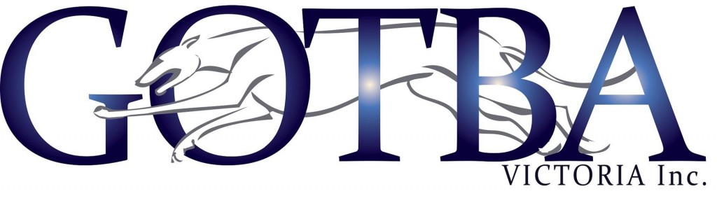 GOTBA Logo