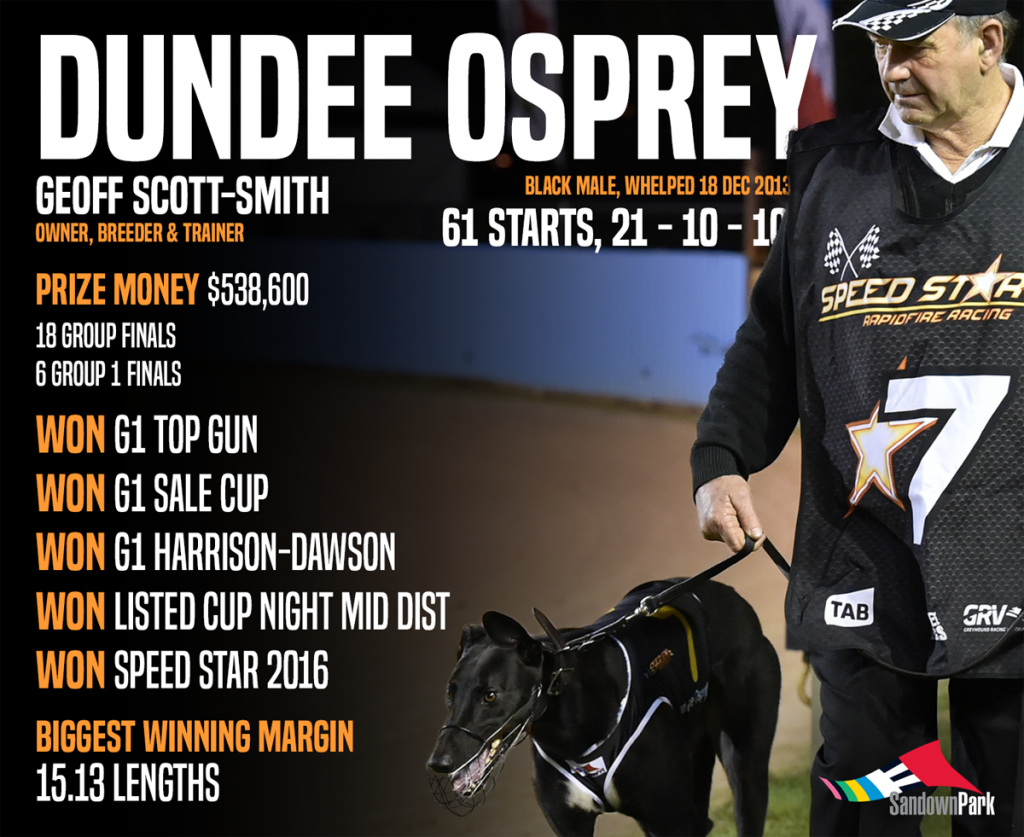 Dundee Osprey infographic