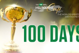 100 Melbourne Cup facts